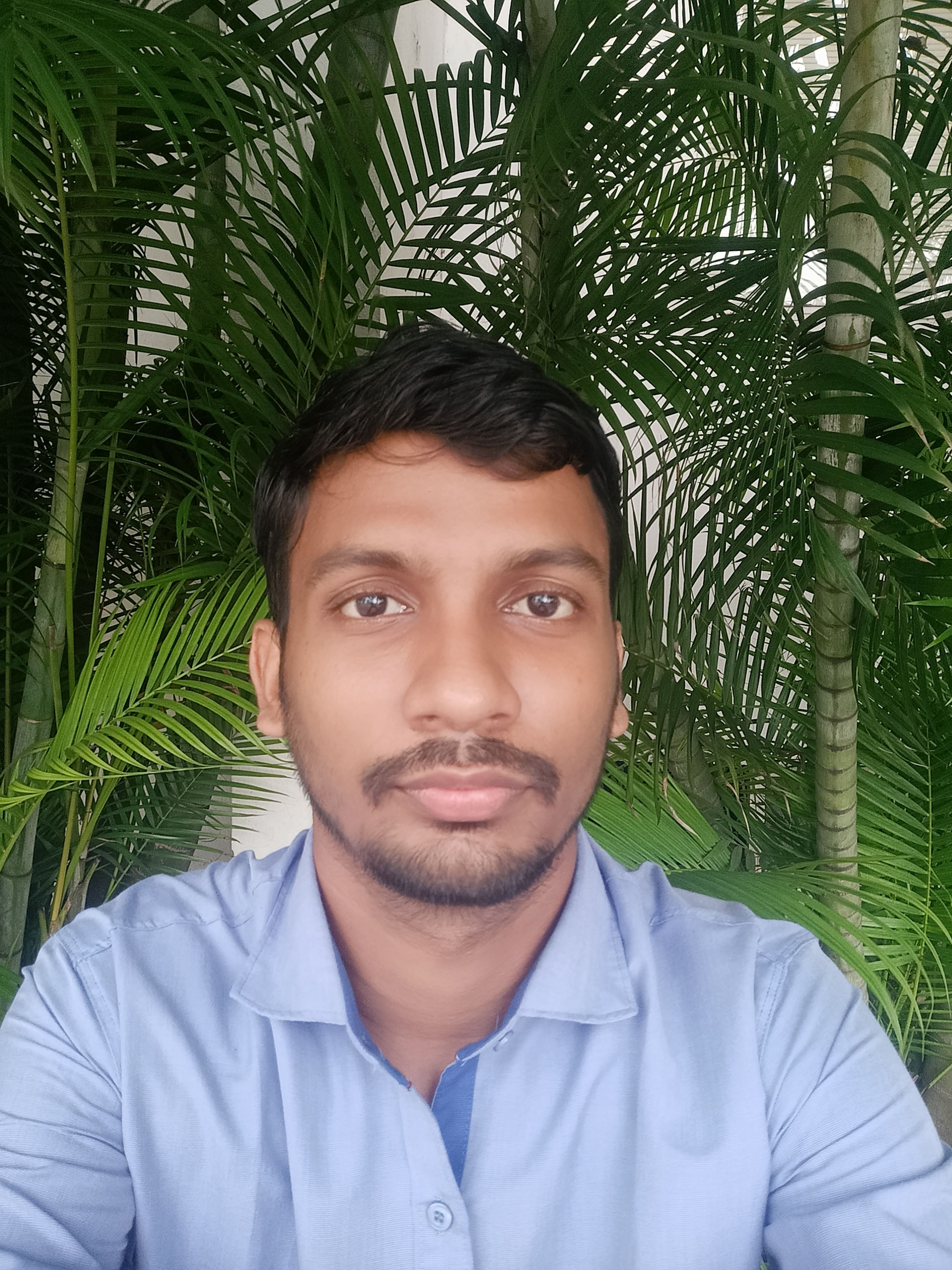 Souvik Sarkar - Frontend Developer & Full Stack Engineer